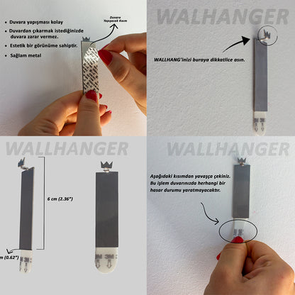 Arnold Schwarzenegger Wall Covering